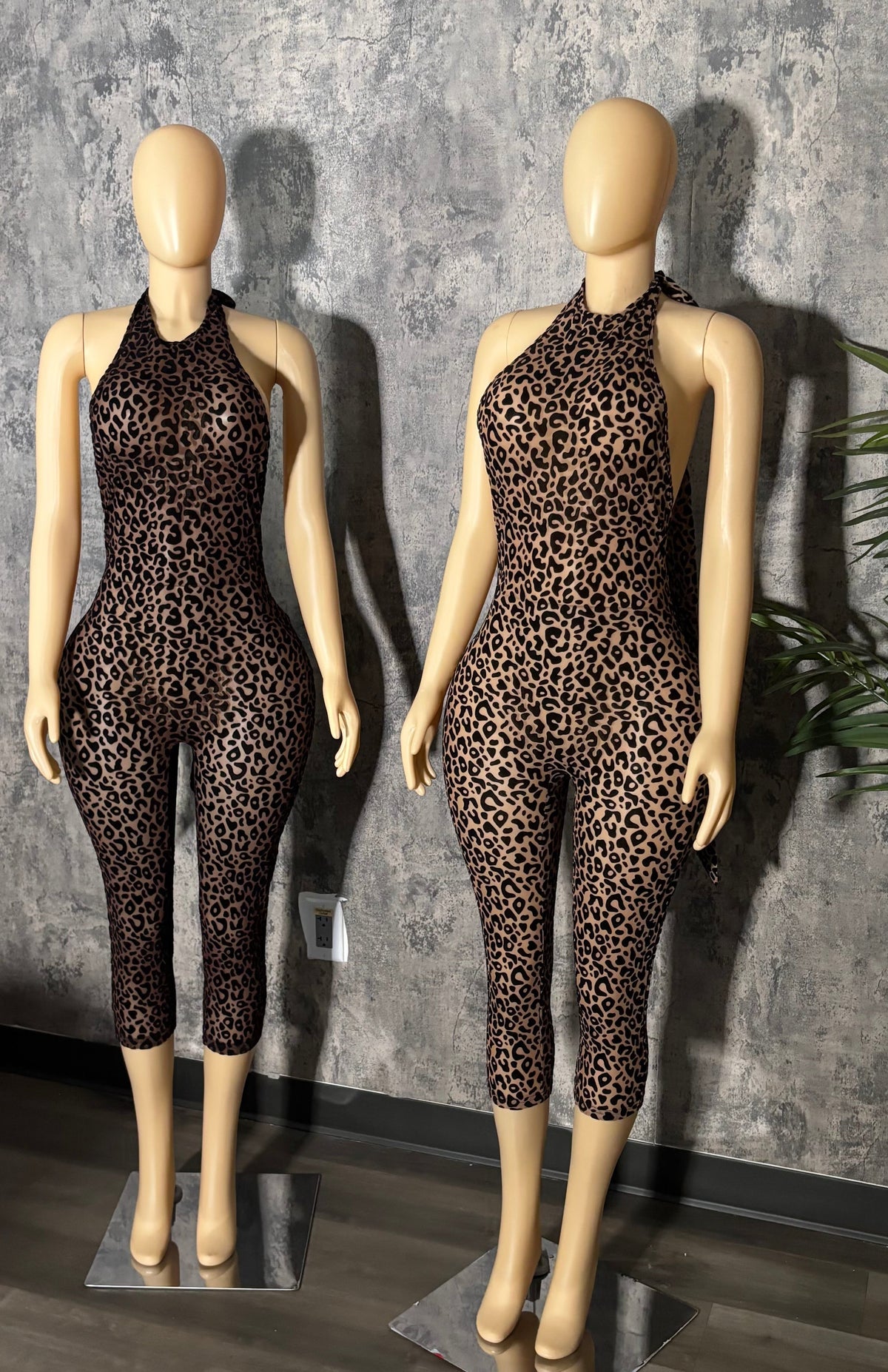 Kitty Kat Jumpsuit